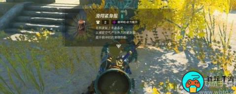 王国之泪滑翔紧身服在哪