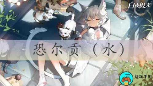 白夜极光恐尔贡怎么样
