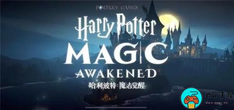 《哈利波特魔法觉醒》哈利生日彩蛋在什么位置
