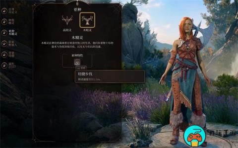 《博德之门3》德鲁伊种族推荐