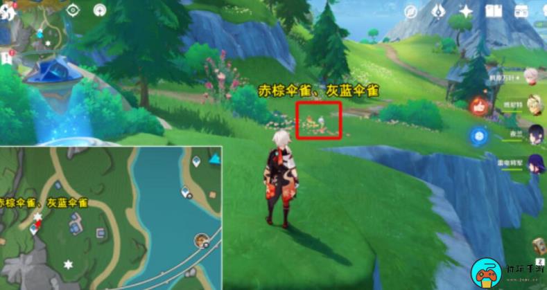 《原神》光影研学旖旎水界第四天怎么过