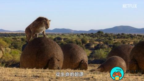 纪录片《地球万物轨迹》预告发布：地球霸主登场