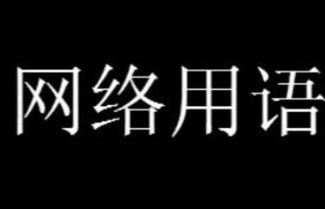 鼠了是什么意思网络用语