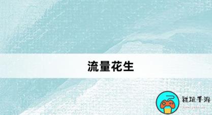 流量花生是什么意思