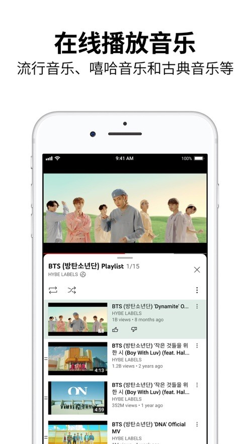 youtube截图