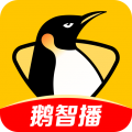企鹅体育app手机版